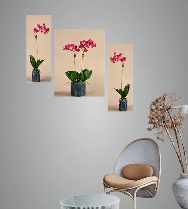 Set_Of_3_Scenery_3D_Framed_Wall_Paintings_|_For_Home_Decoration_|_45X30_Cm