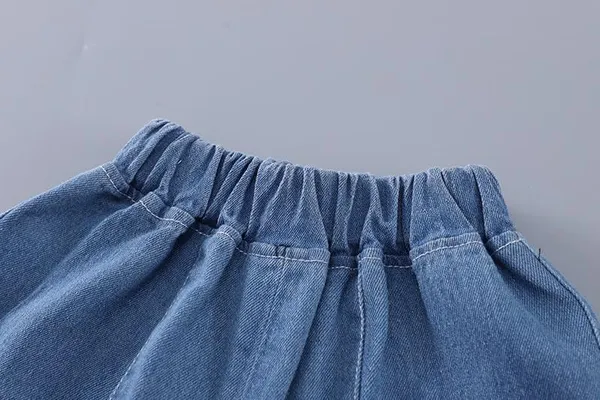 Grey_Trendy_&_Comfortable_Dog_Denim_Short_Set_For_Boys