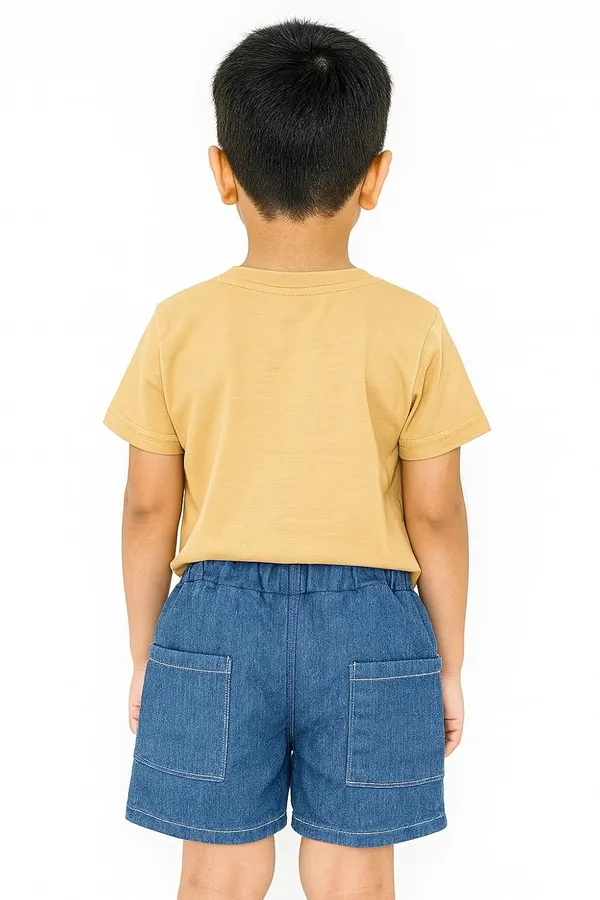 Brown_Trendy_&_Comfortable_Little_King_Lion_Tee_&_Shorts_Set_For_Boys