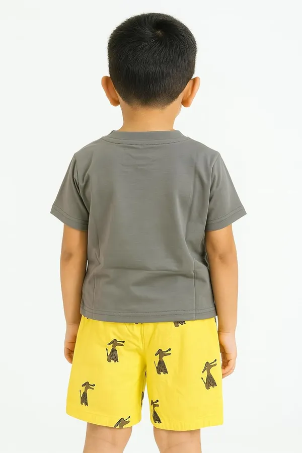 Grey_Trendy_&_Comfortable_Lion_Tee_&_Giraffe_Print_Shorts_Set_For_Boys