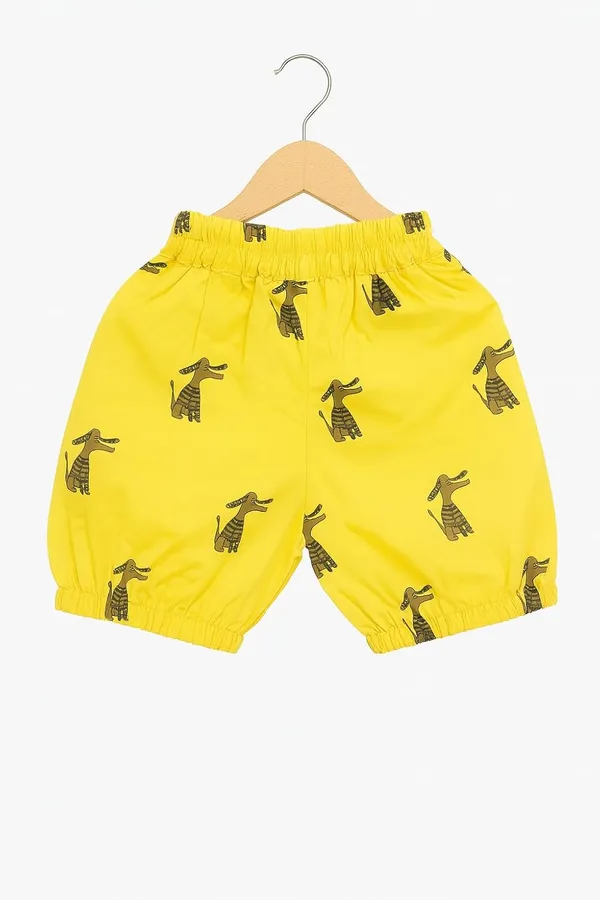 White_Trendy_&_Comfortable_Lion_Tee_&_Giraffe_Print_Shorts_Set_For_Boys