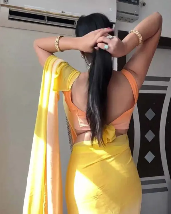 Elegant_1-Minute_Ready_To_Wear_Multi_Color_Georgette_Saree