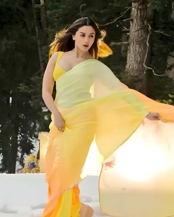 Elegant_1-Minute_Ready_To_Wear_Multi_Color_Georgette_Saree