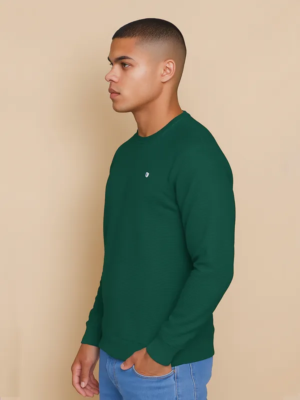 Green_Cotton_Blend_Solid_Full_Sleeve_Round_Neck_Sweatshirt_For_Men