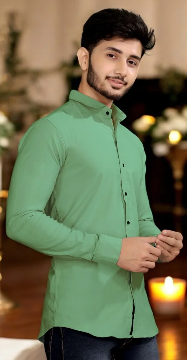 Light_Green_Cotton_Blend_Full_Sleeve_Solid_Shirt_For_Men