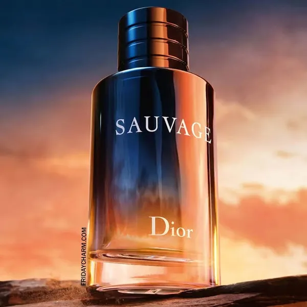Christian_Dior_Sauvage_Eau_De_Parfum_100ml_–_Premium_Woody_Spicy_Fragrance_for_Men