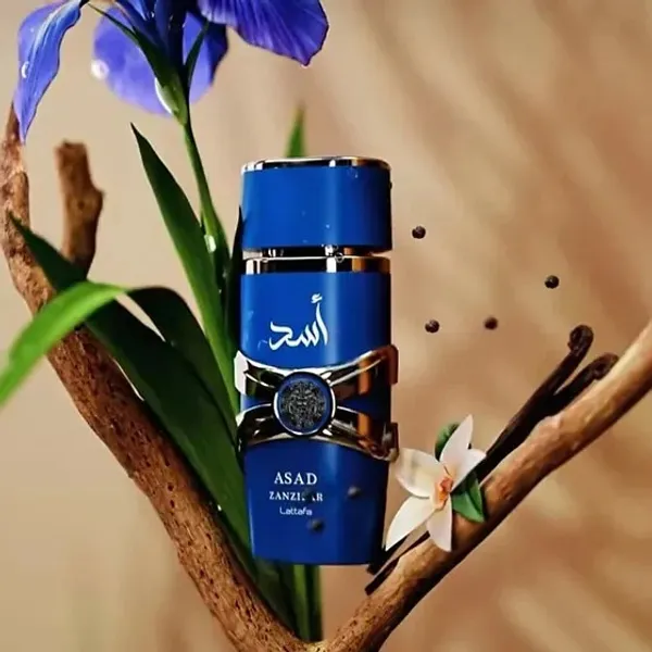 Lattafa_Asad_Zanzibar_Eau_De_Parfum_For_Men_100ml