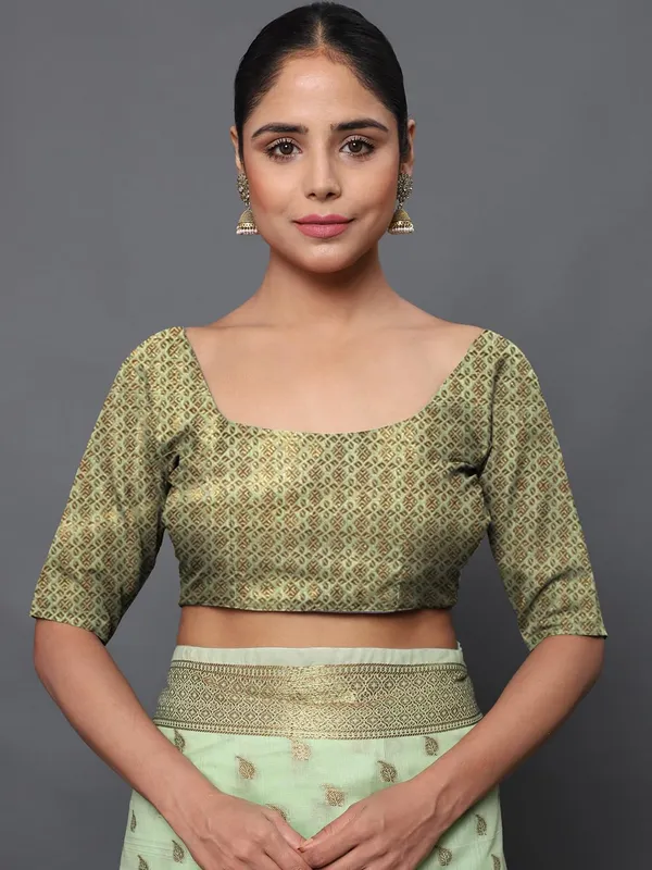 Light_Green_Cotton_Silk_Premium_&_Elegant_(_Zari_Tree_Pattern_Border_Rich_Pallu_)_Banarasi_Saree_With_Blouse_Piece_For_Women