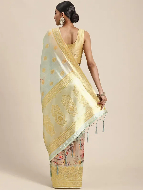 Light_Pista_Green_Cotton_Silk_Premium_&_Elegant_(_Digital_Printed_Zari_Woven_Border_And_Rich_Pallu_)_Banarasi_Saree_With_Blouse_Piece_For_Women
