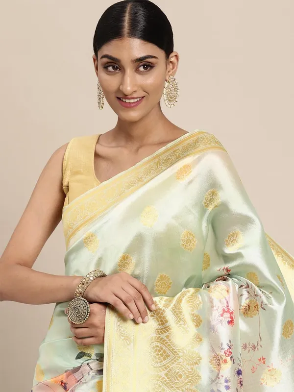 Light_Pista_Green_Cotton_Silk_Premium_&_Elegant_(_Digital_Printed_Zari_Woven_Border_And_Rich_Pallu_)_Banarasi_Saree_With_Blouse_Piece_For_Women