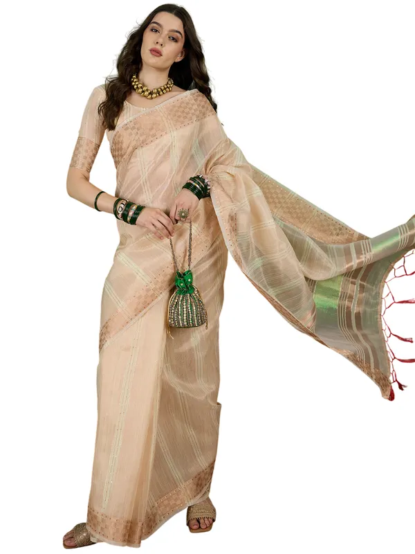 Beige_Khadi_Organza_Premium_&_Elegant_(_All_Over_Sequin_Work_)_Saree_With_Blouse_Piece_For_Women