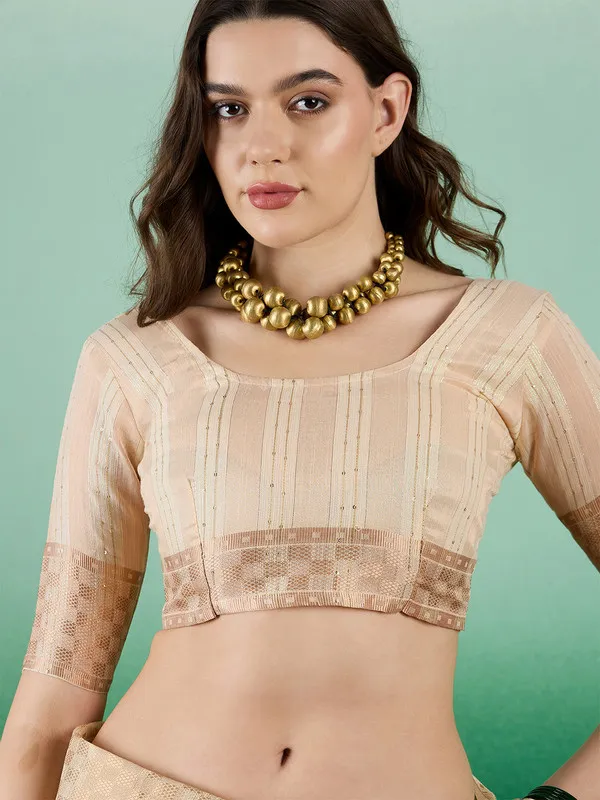 Beige_Khadi_Organza_Premium_&_Elegant_(_All_Over_Sequin_Work_)_Saree_With_Blouse_Piece_For_Women