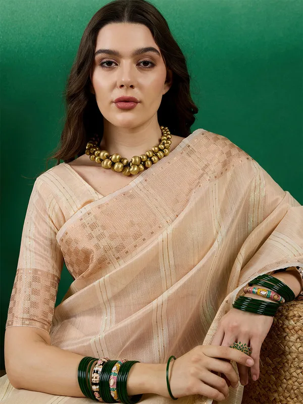 Beige_Khadi_Organza_Premium_&_Elegant_(_All_Over_Sequin_Work_)_Saree_With_Blouse_Piece_For_Women