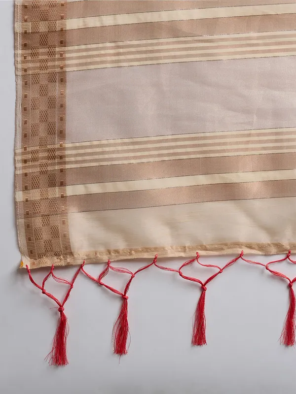 Beige_Khadi_Organza_Premium_&_Elegant_(_All_Over_Sequin_Work_)_Saree_With_Blouse_Piece_For_Women