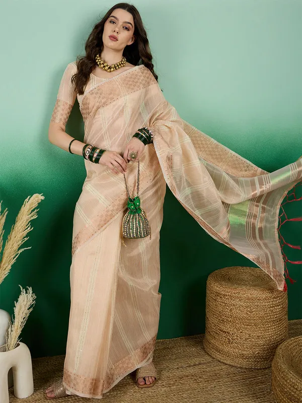 Beige_Khadi_Organza_Premium_&_Elegant_(_All_Over_Sequin_Work_)_Saree_With_Blouse_Piece_For_Women