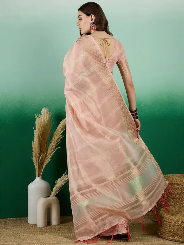 Peach_Khadi_Organza_Premium_&_Elegant_(_All_Over_Sequin_Work_)_Saree_With_Blouse_Piece_For_Women
