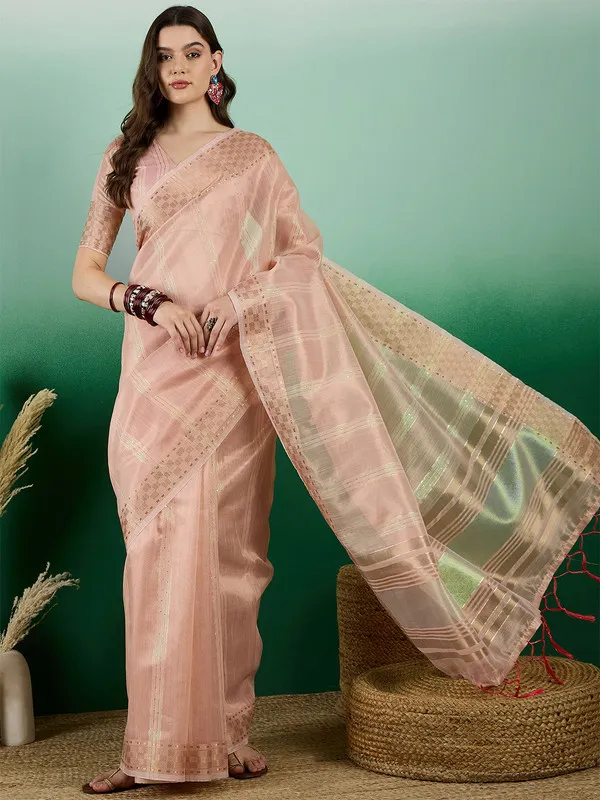 Peach_Khadi_Organza_Premium_&_Elegant_(_All_Over_Sequin_Work_)_Saree_With_Blouse_Piece_For_Women