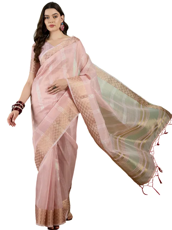 Pink_Khadi_Organza_Premium_&_Elegant_(_All_Over_Sequin_Work_)_Saree_With_Blouse_Piece_For_Women