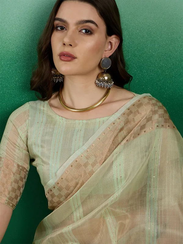 Pistagreen_Khadi_Organza_Premium_&_Elegant_(_All_Over_Sequin_Work_)_Saree_With_Blouse_Piece_For_Women