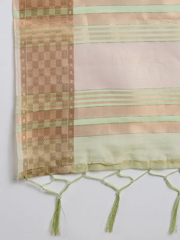 Pistagreen_Khadi_Organza_Premium_&_Elegant_(_All_Over_Sequin_Work_)_Saree_With_Blouse_Piece_For_Women