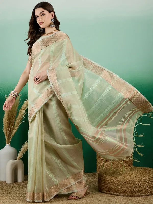 Pistagreen_Khadi_Organza_Premium_&_Elegant_(_All_Over_Sequin_Work_)_Saree_With_Blouse_Piece_For_Women