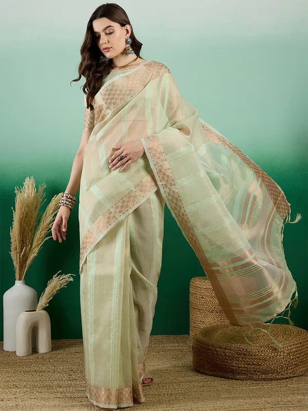 Pistagreen_Khadi_Organza_Premium_&_Elegant_(_All_Over_Sequin_Work_)_Saree_With_Blouse_Piece_For_Women
