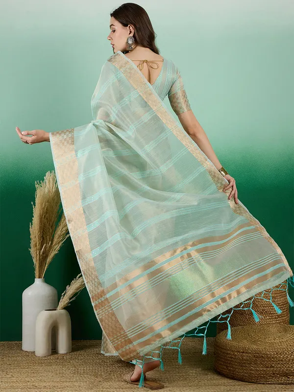 Seagreen_Khadi_Organza_Premium_&_Elegant_(_All_Over_Sequin_Work_)_Saree_With_Blouse_Piece_For_Women