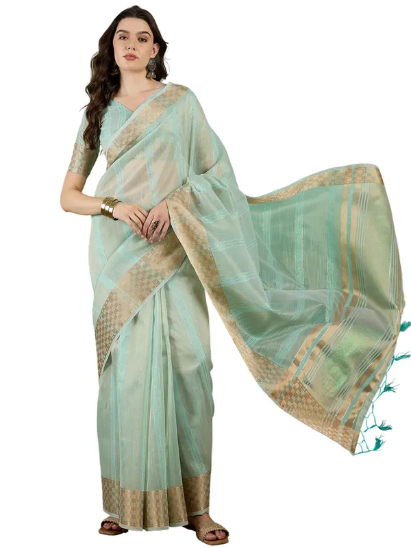 Seagreen_Khadi_Organza_Premium_&_Elegant_(_All_Over_Sequin_Work_)_Saree_With_Blouse_Piece_For_Women