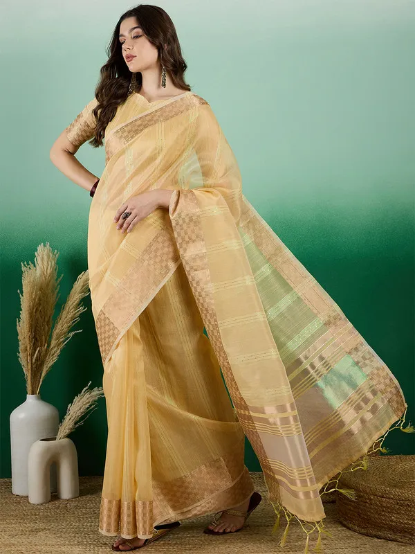 Yellow_Khadi_Organza_Premium_&_Elegant_(_All_Over_Sequin_Work_)_Saree_With_Blouse_Piece_For_Women