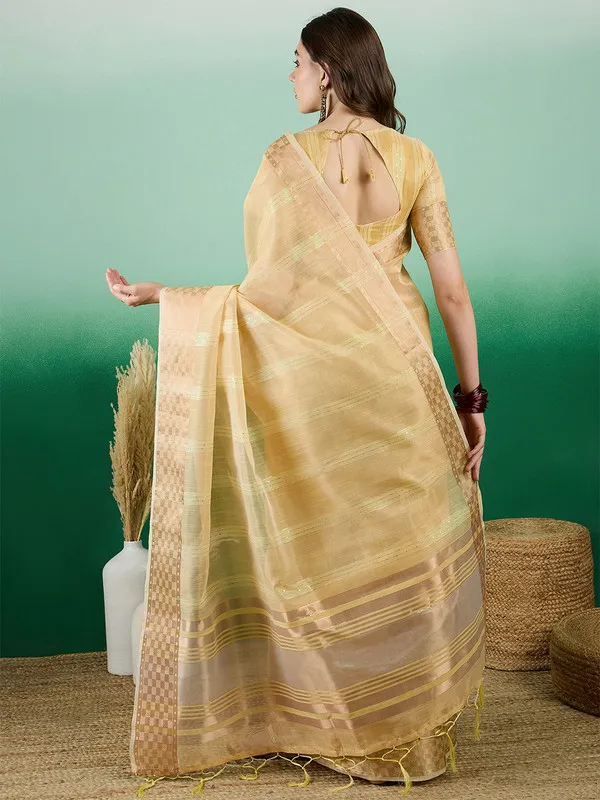 Yellow_Khadi_Organza_Premium_&_Elegant_(_All_Over_Sequin_Work_)_Saree_With_Blouse_Piece_For_Women