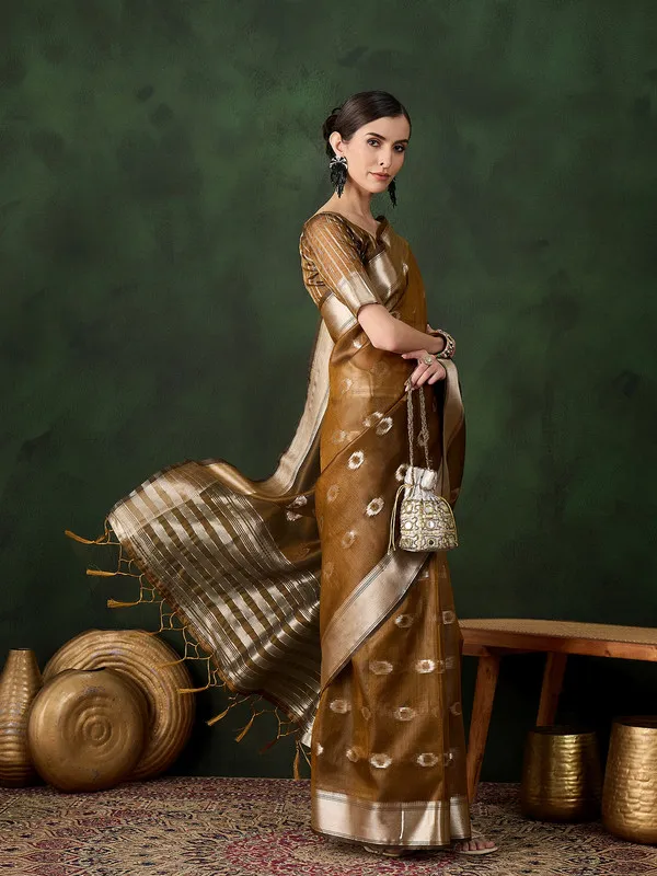 Brown_Khadi_Organza_Premium_&_Elegant_(_Matching_)_Saree_With_Blouse_Piece_For_Women