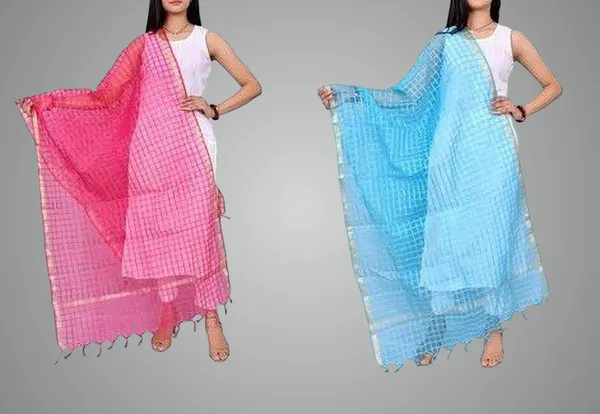 Multicolor_Net_Checke_Dupatta_For_Women