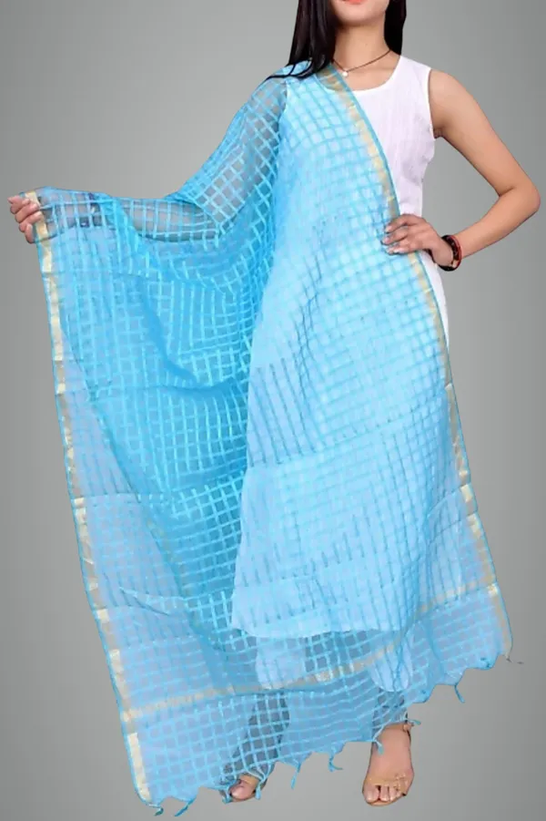 Multicolor_Net_Checke_Dupatta_For_Women