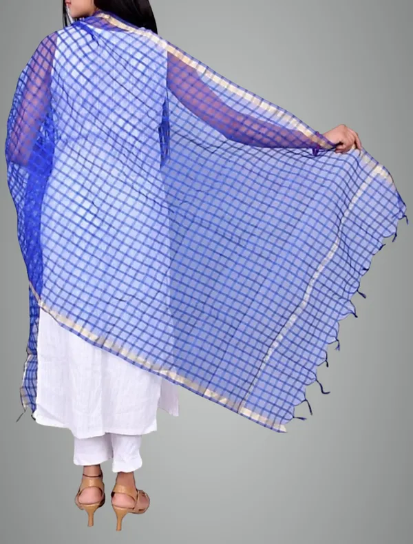 Blue_&_Beige_Net_Checke_Dupatta_For_Women