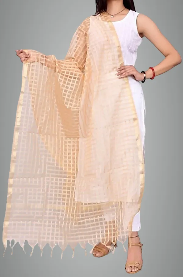 Blue_&_Beige_Net_Checke_Dupatta_For_Women