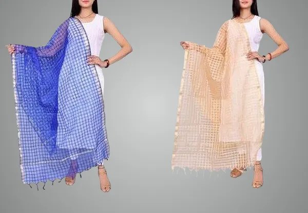Blue_&_Beige_Net_Checke_Dupatta_For_Women