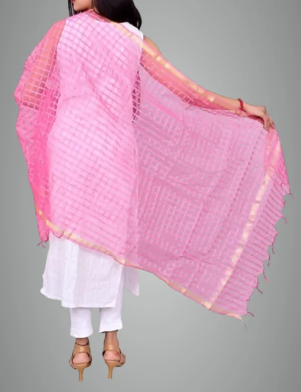 Pink_&_Blue_Net_Checke_Dupatta_For_Women