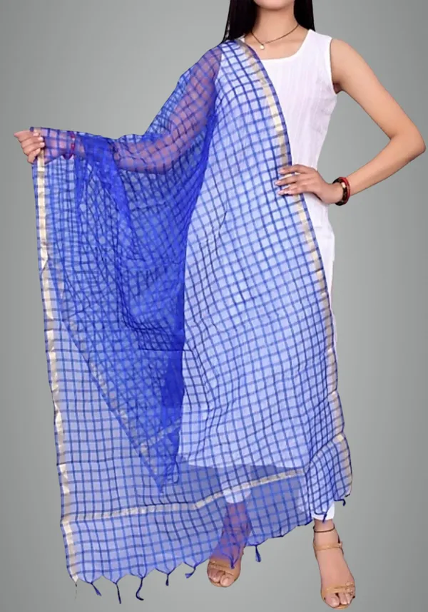 Pink_&_Blue_Net_Checke_Dupatta_For_Women