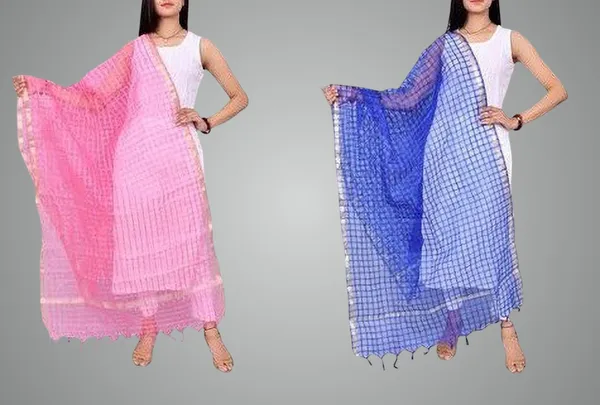 Pink_&_Blue_Net_Checke_Dupatta_For_Women