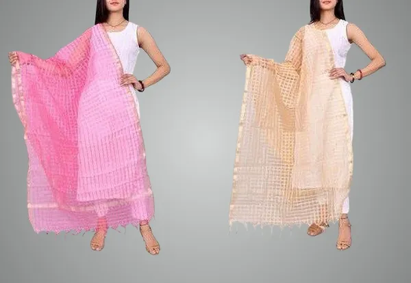 Multicolor_Net_Checke_Dupatta_For_Women