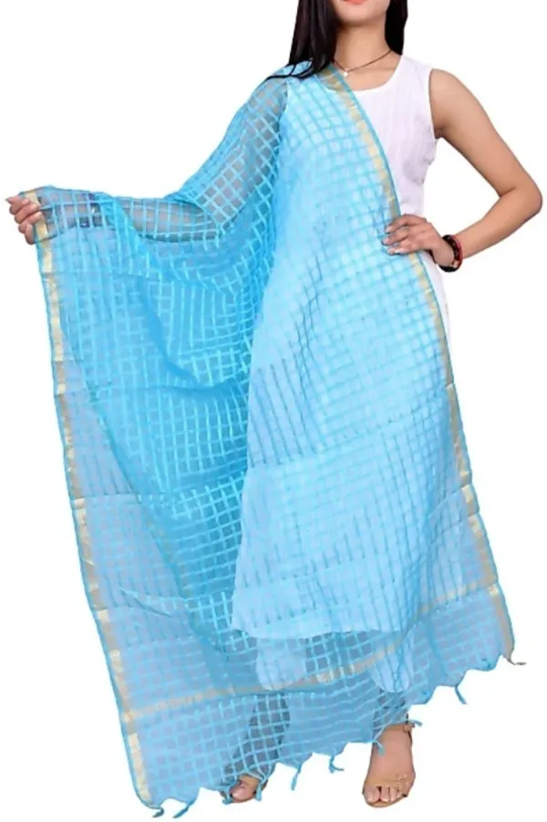 Multicolor_Net_Checke_Dupatta_For_Women