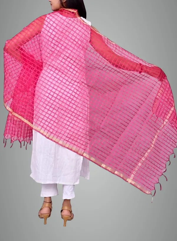 Multicolor_Net_Checke_Dupatta_For_Women