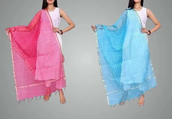Multicolor_Net_Checke_Dupatta_For_Women