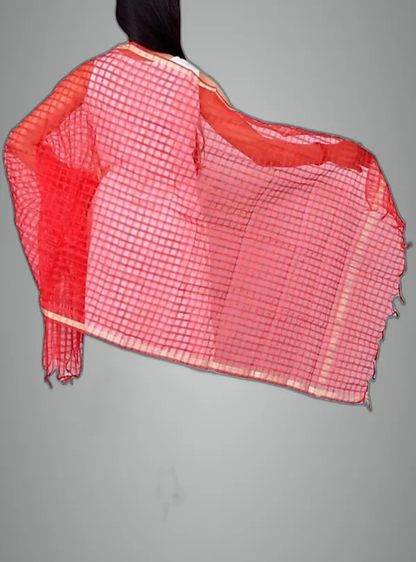 Multicolor_Net_Checke_Dupatta_For_Women