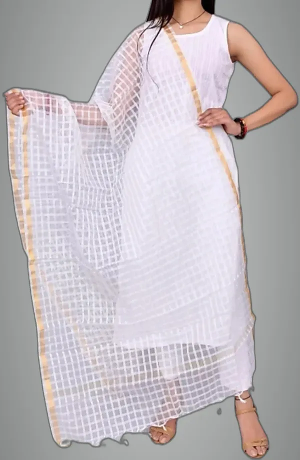 Multicolor_Net_Checke_Dupatta_For_Women
