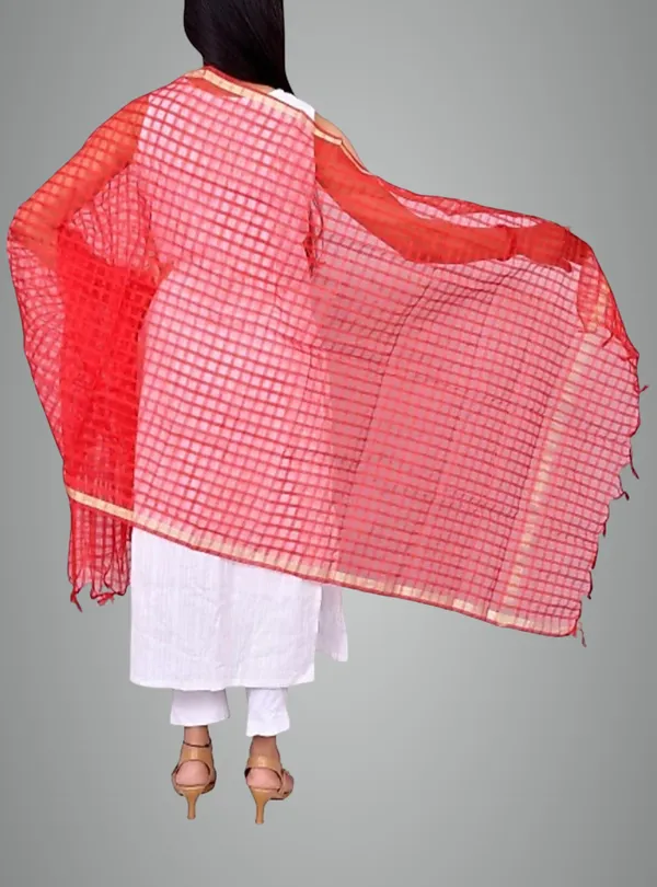 Multicolor_Net_Checke_Dupatta_For_Women