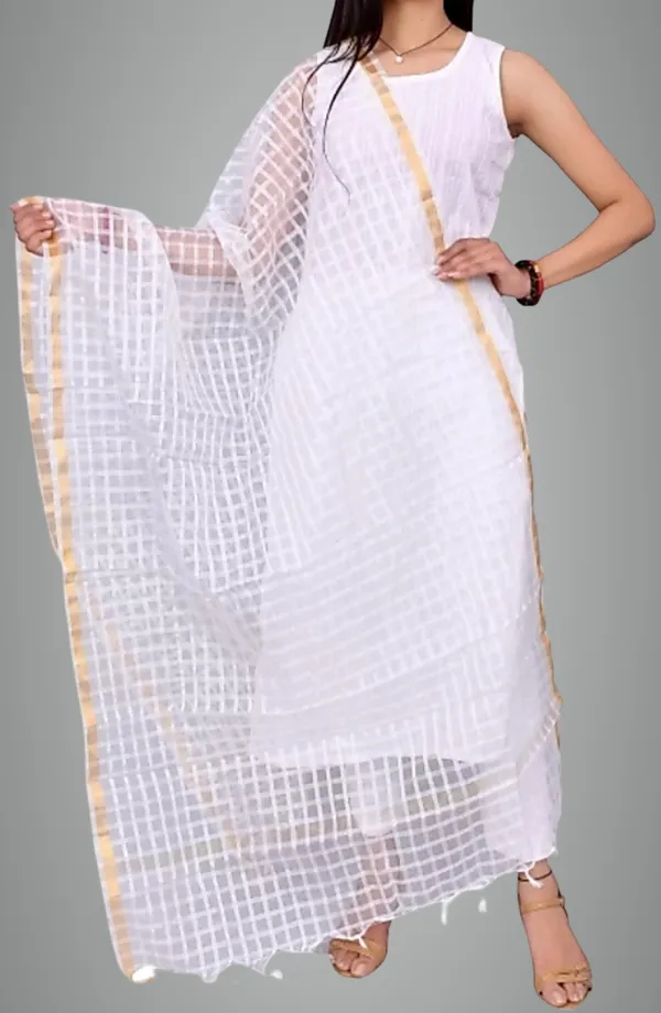 Multicolor_Net_Checke_Dupatta_For_Women