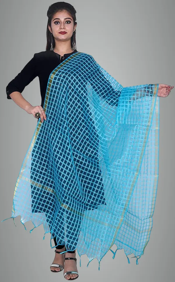 Blue_Net_Checke_Dupatta_For_Women