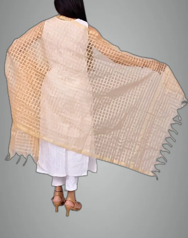 Beige_&_Pink_Net_Checke_Dupatta_For_Women
