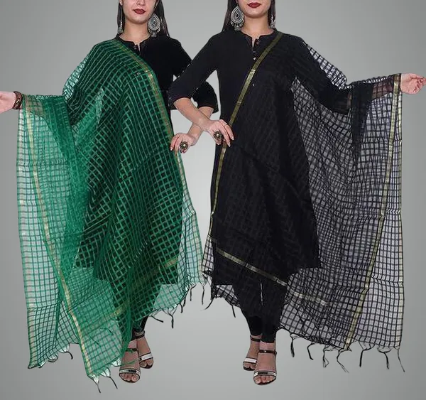 Multicolor_Net_Checke_Dupatta_For_Women